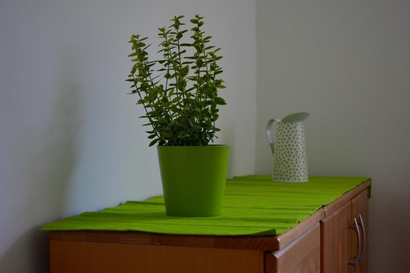 Appartement Sweet In